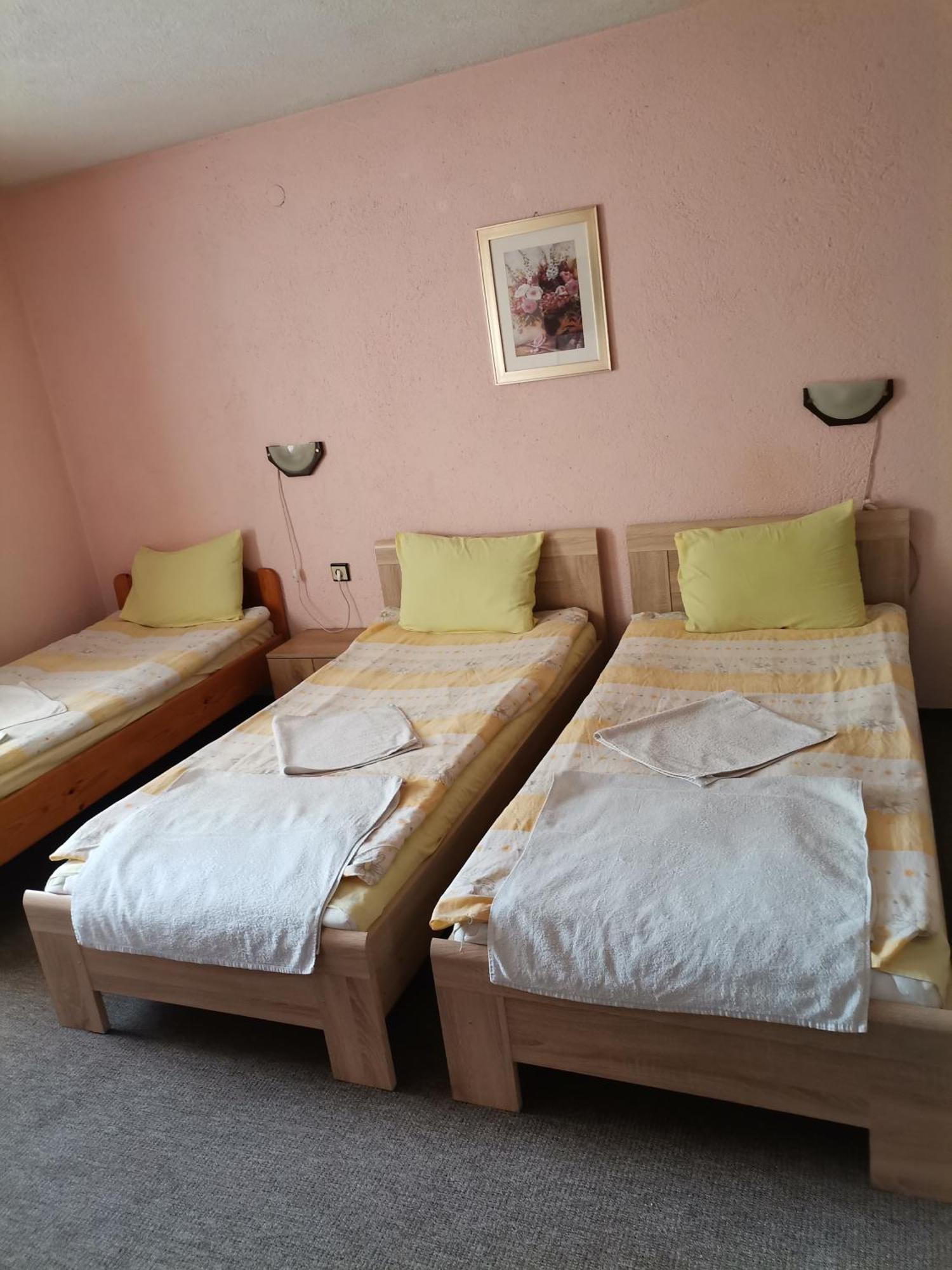 Family Hotel Santo Бансько Екстер'єр фото